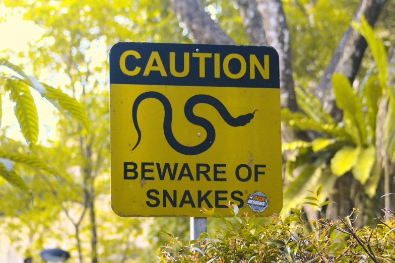 a street sign warning about snake viewing in the bushes