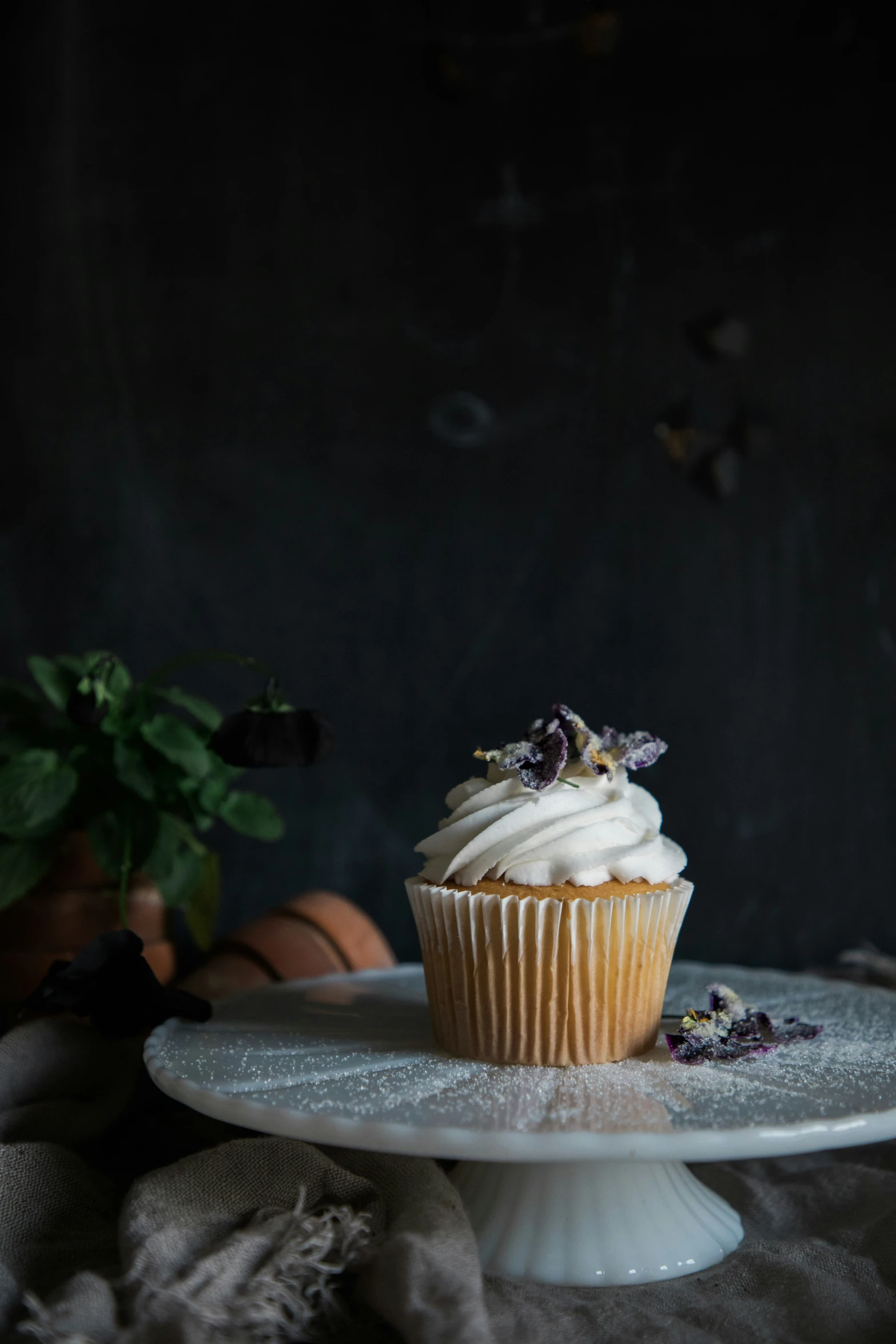 a cupcake with white frosting and dried berries on top