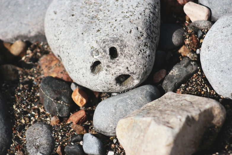 rocks sitting next to each other on the ground