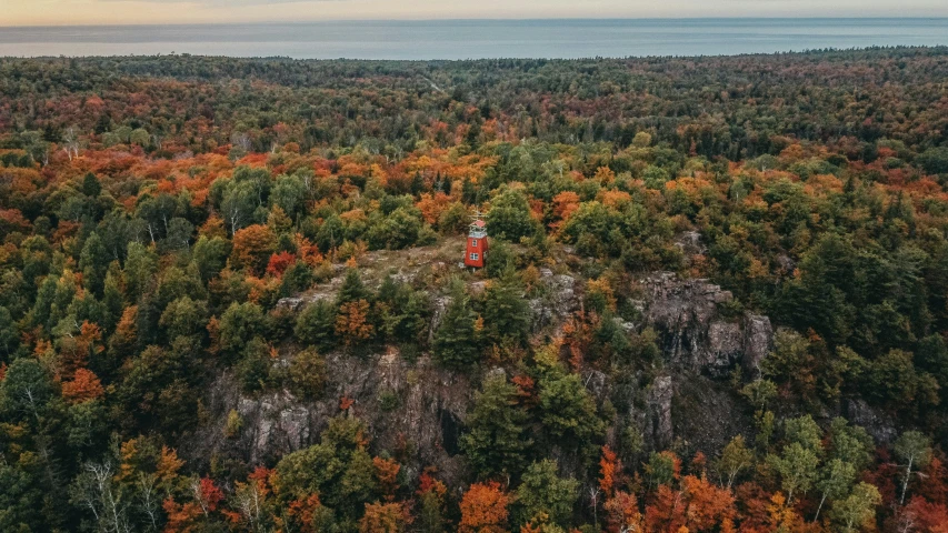 a bird's eye view of trees and people