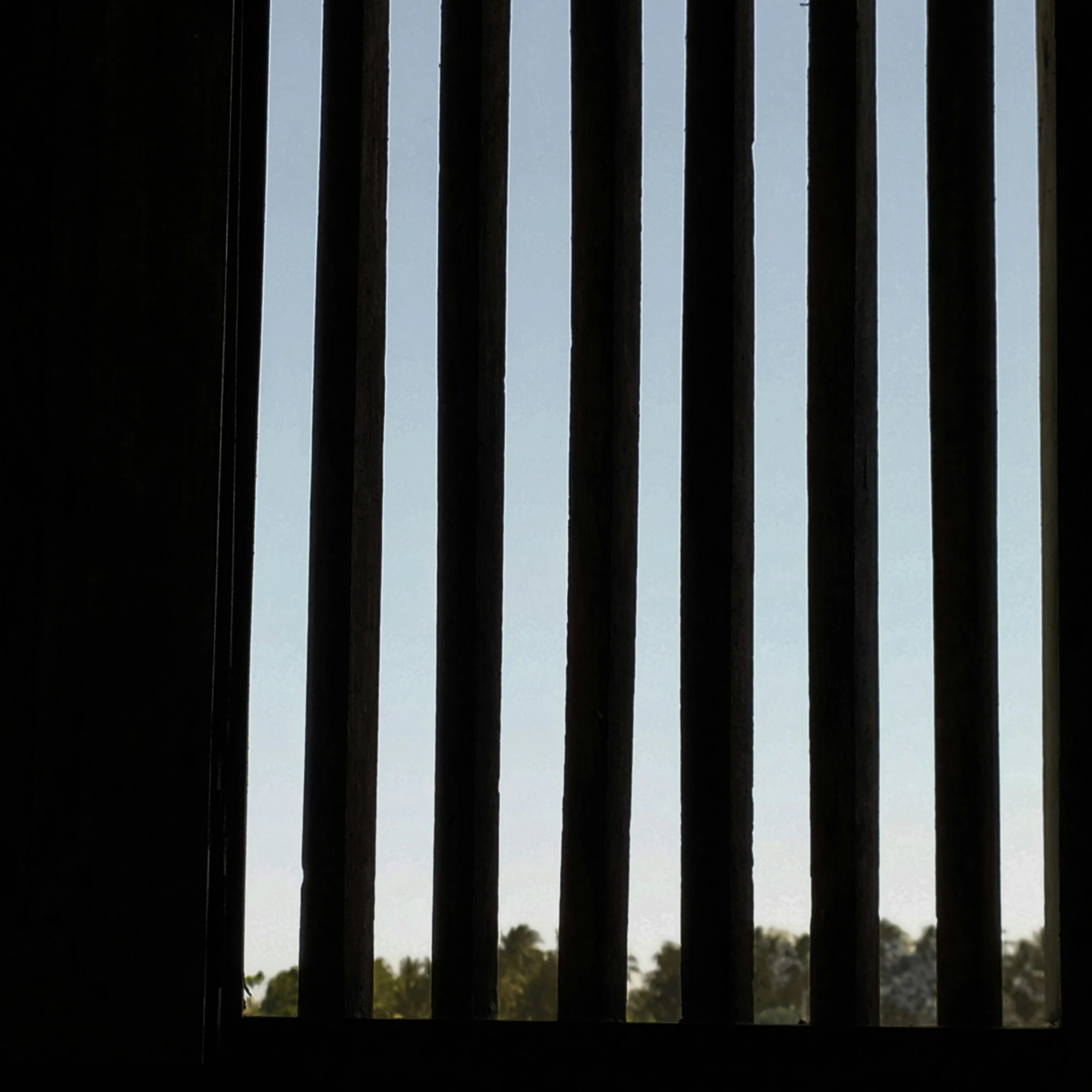 a view of a forest from behind metal bars