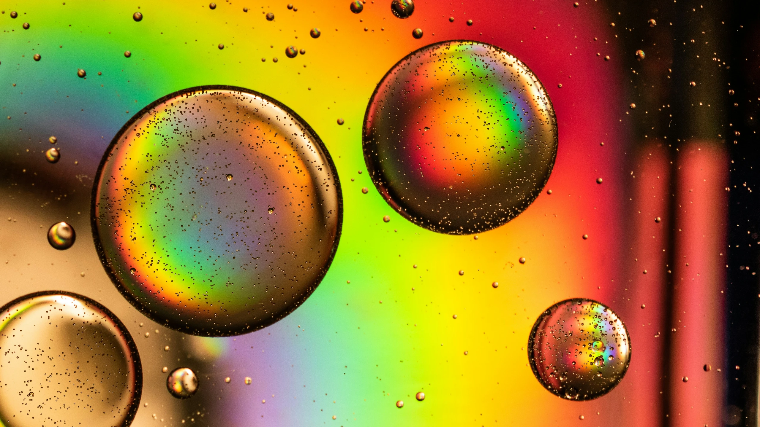 bubbles of oil on a rainbow colored surface