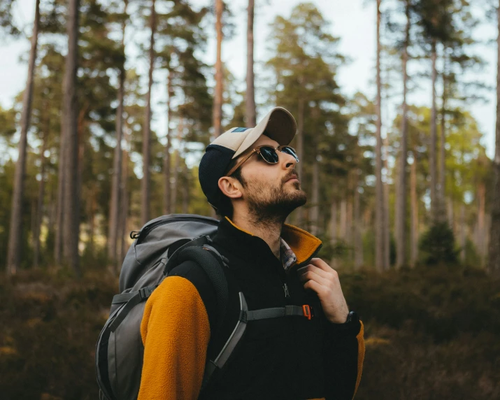 a man walking through a forest with his back to the camera