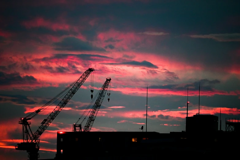 cranes silhouetted against a purple sky during a sunset