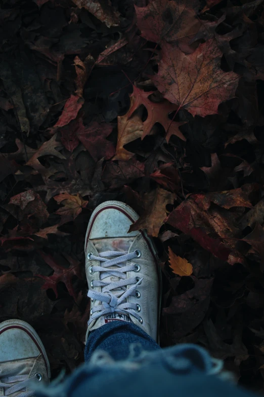 a person wearing white sneakers on top of fallen leaves