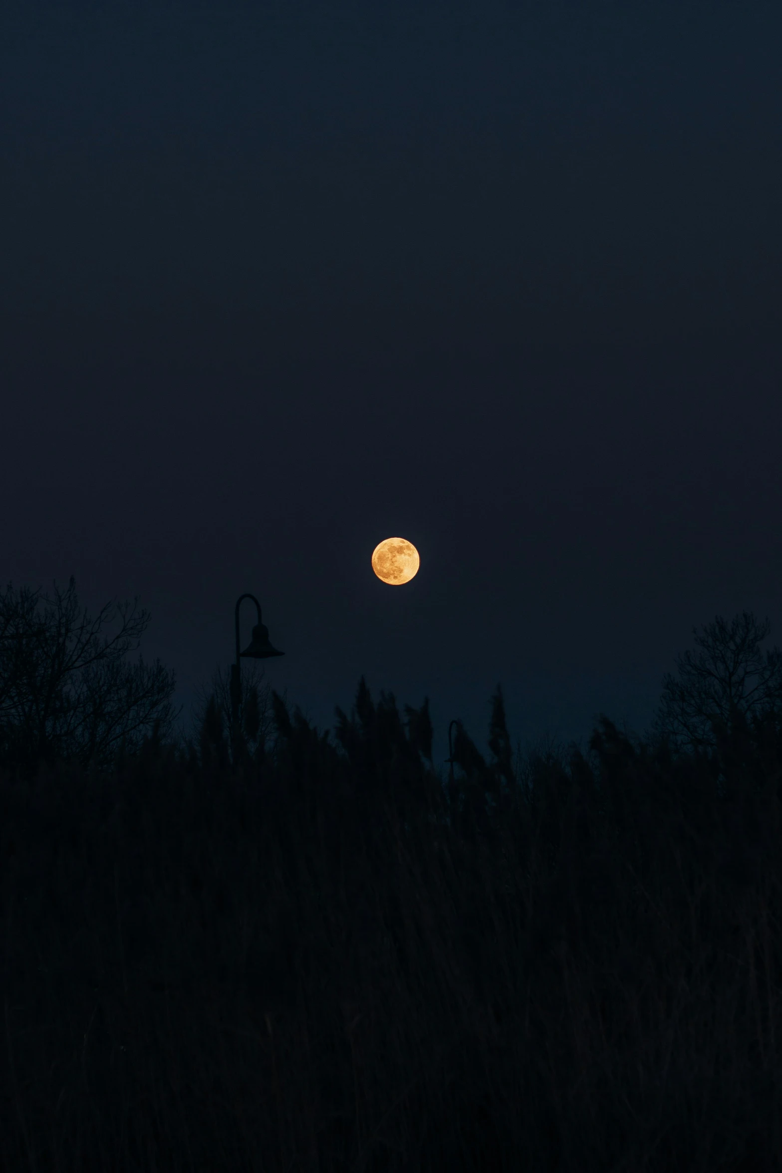 a full moon seen over the horizon during the night