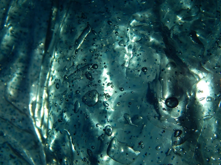 the bubbles are on a surface in water