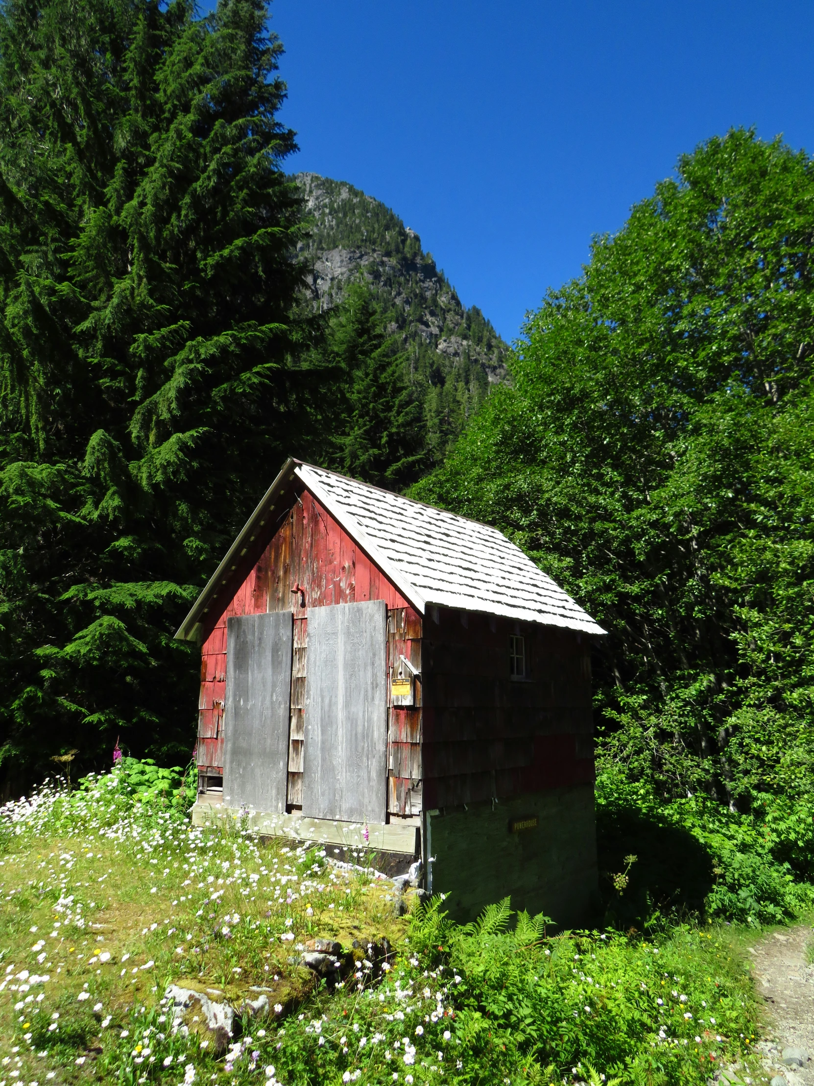 a wooden shack nestled among some trees in the middle of a field