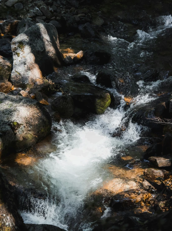 a stream flowing through a rocky landscape covered in leaves