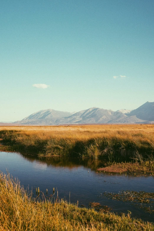 a couple of hills near water and grass