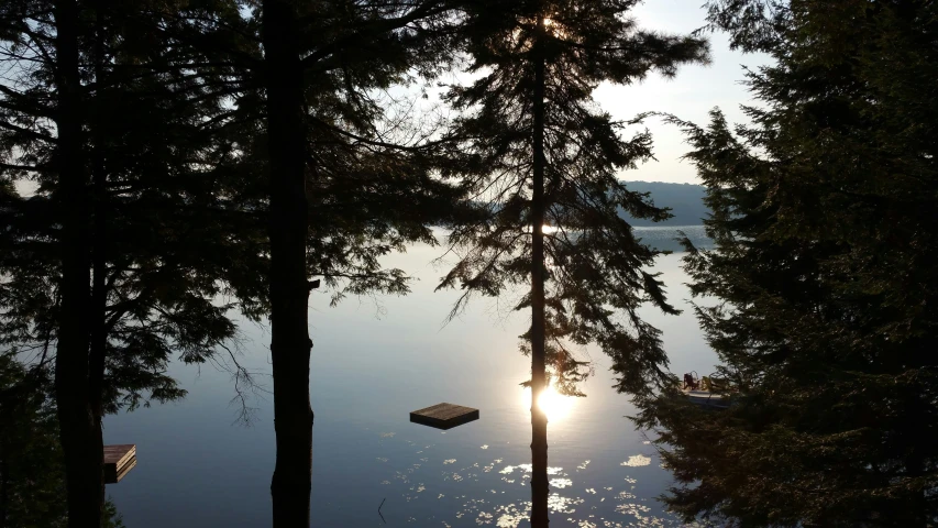 a lake at the back of a forest with boats in it