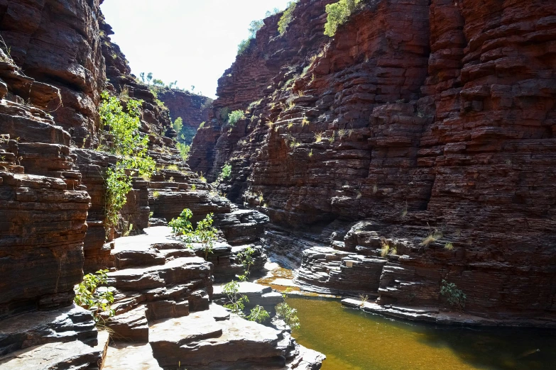a small pool at the base of some rocks near a canyon