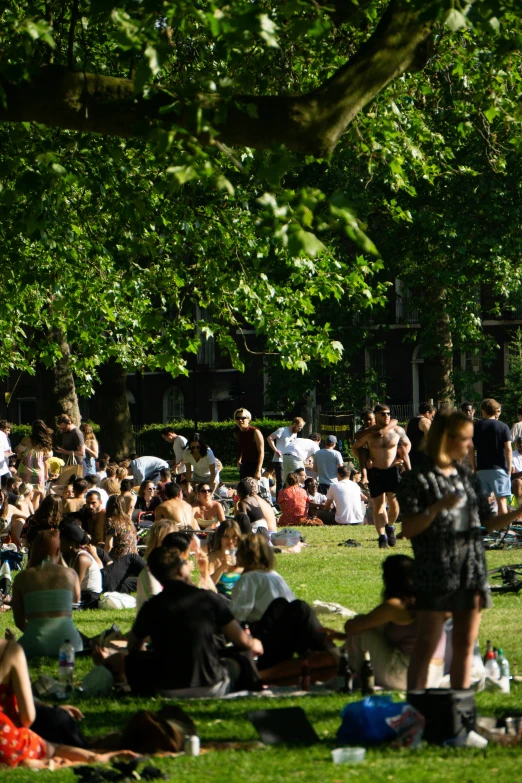 several people sitting in the park with a lot of trees