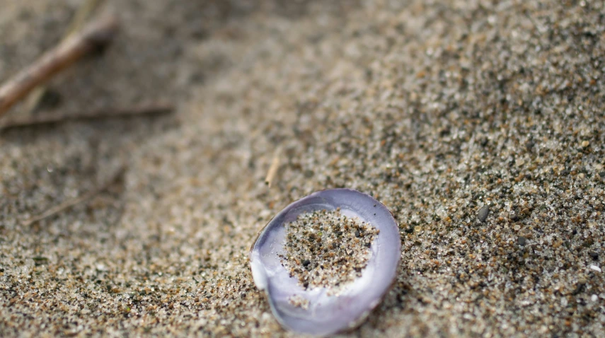 a glass object sitting in the sand by itself