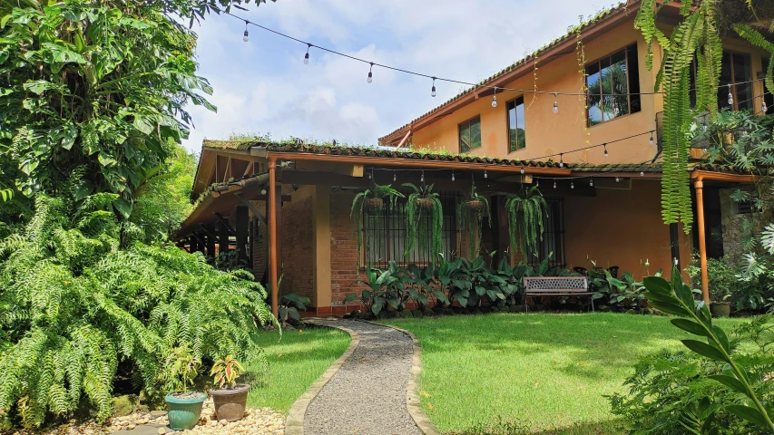 a backyard that has plants and a bench in front of it