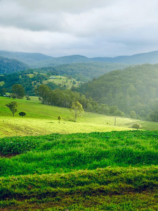 a green valley with a lot of hills and greenery