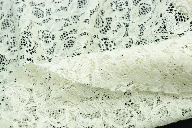 a white lacy lace fabric with some black dots