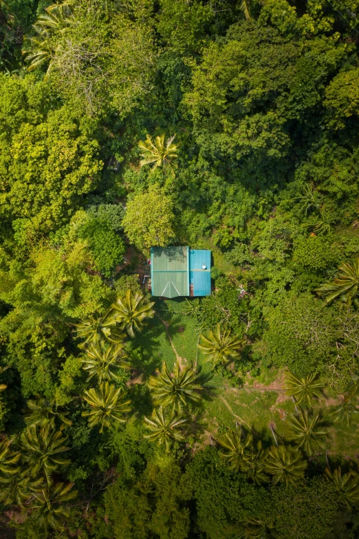 a pool surrounded by lots of green trees