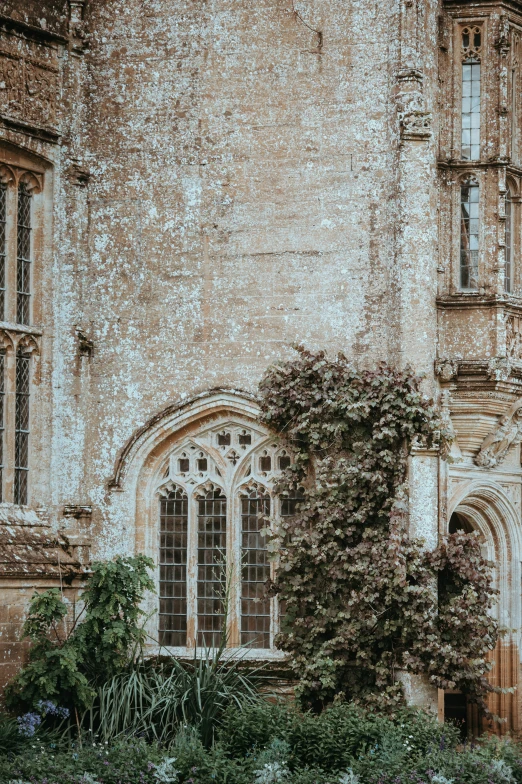 an old castle building with roses in the windows