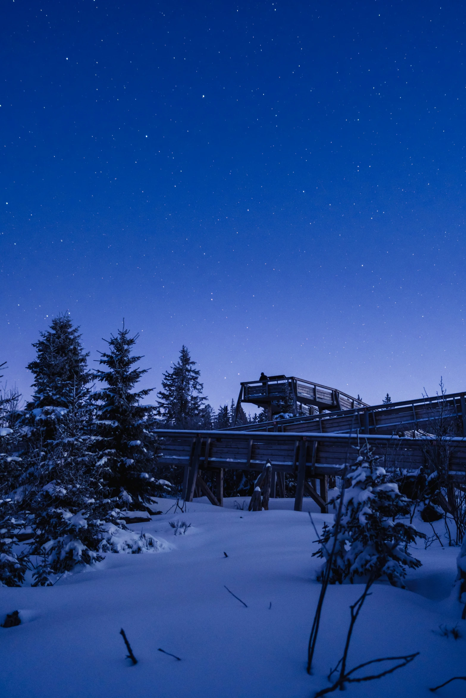 a snow covered bridge and trees under a blue sky