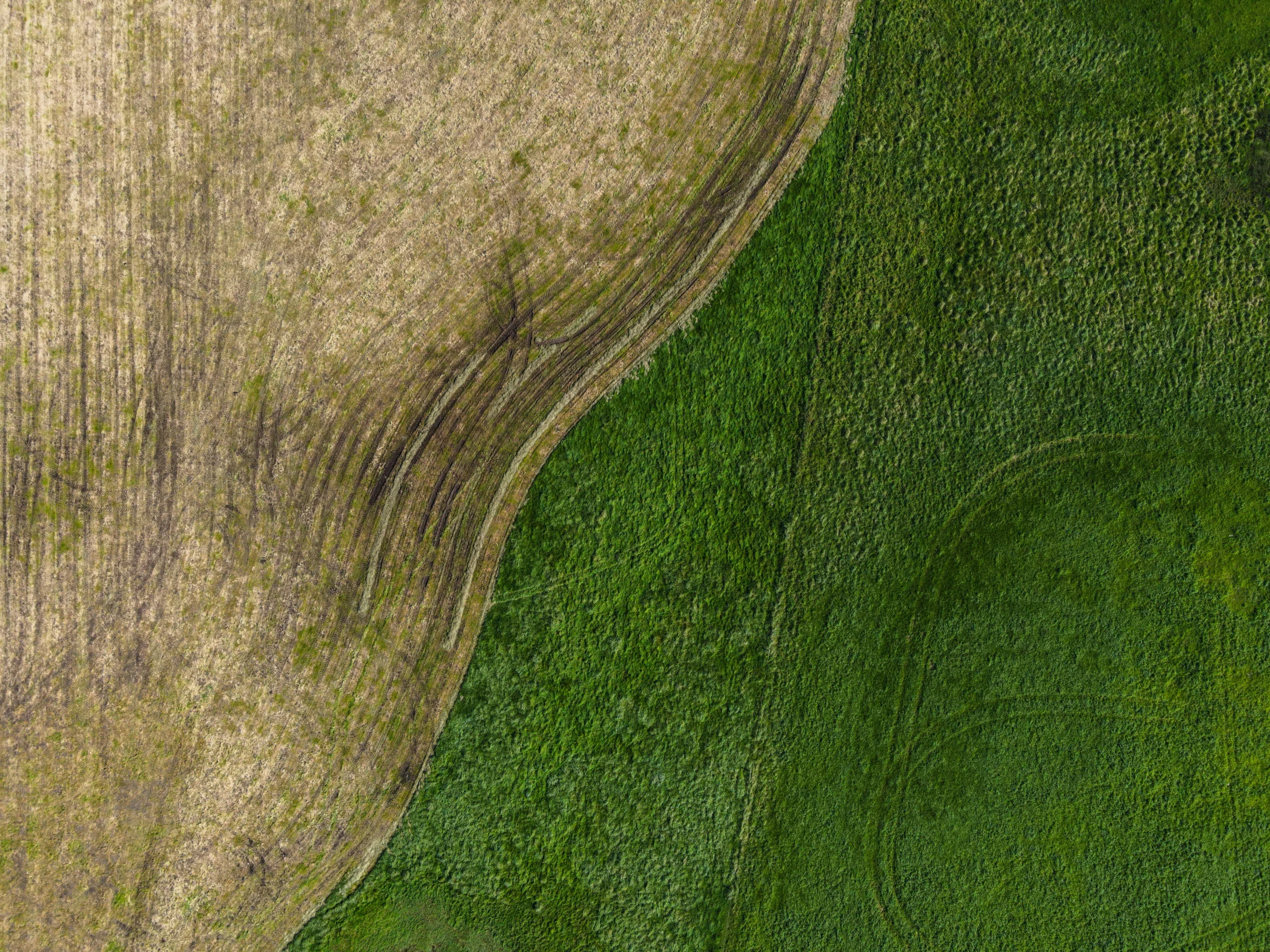 an aerial view of an airplane flying over a field