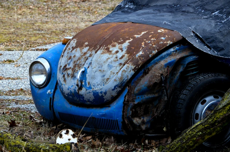 the car is rusty, covered and parked outside