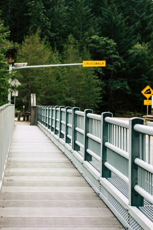 the pedestrian walk over bridge is going through some trees