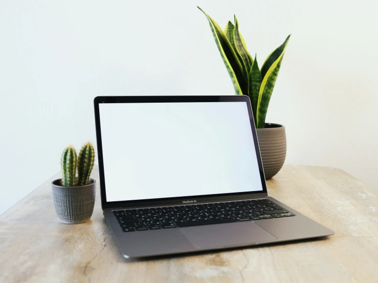 a laptop computer is on top of a table with a cactus in a pot