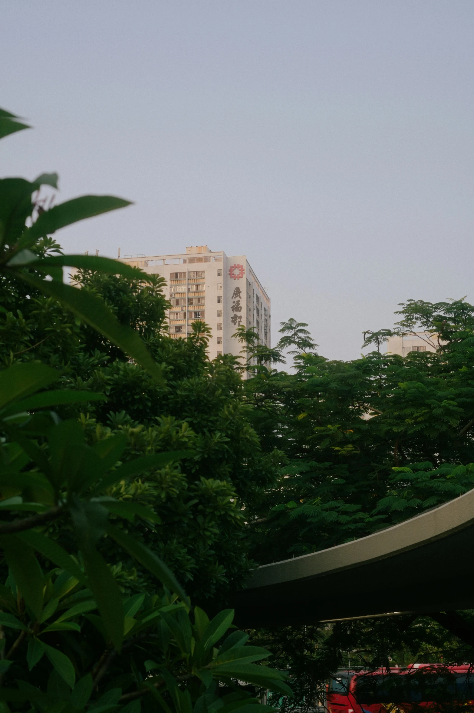 a view of the top of a tall building from between trees