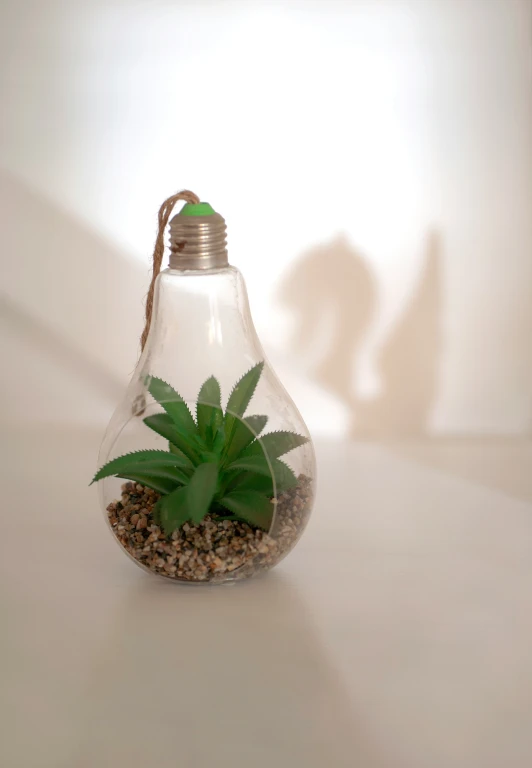 a light bulb filled with plants and rocks