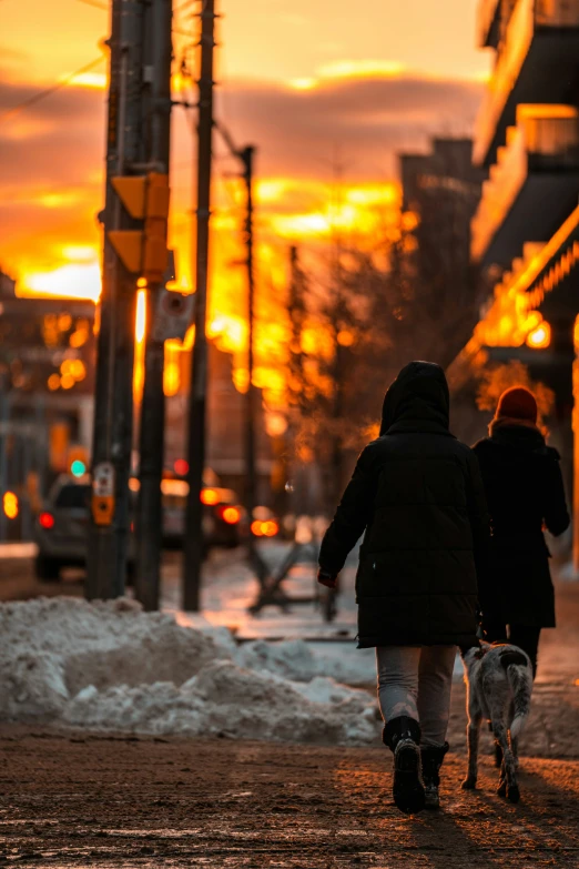 two people are walking their dogs down the street