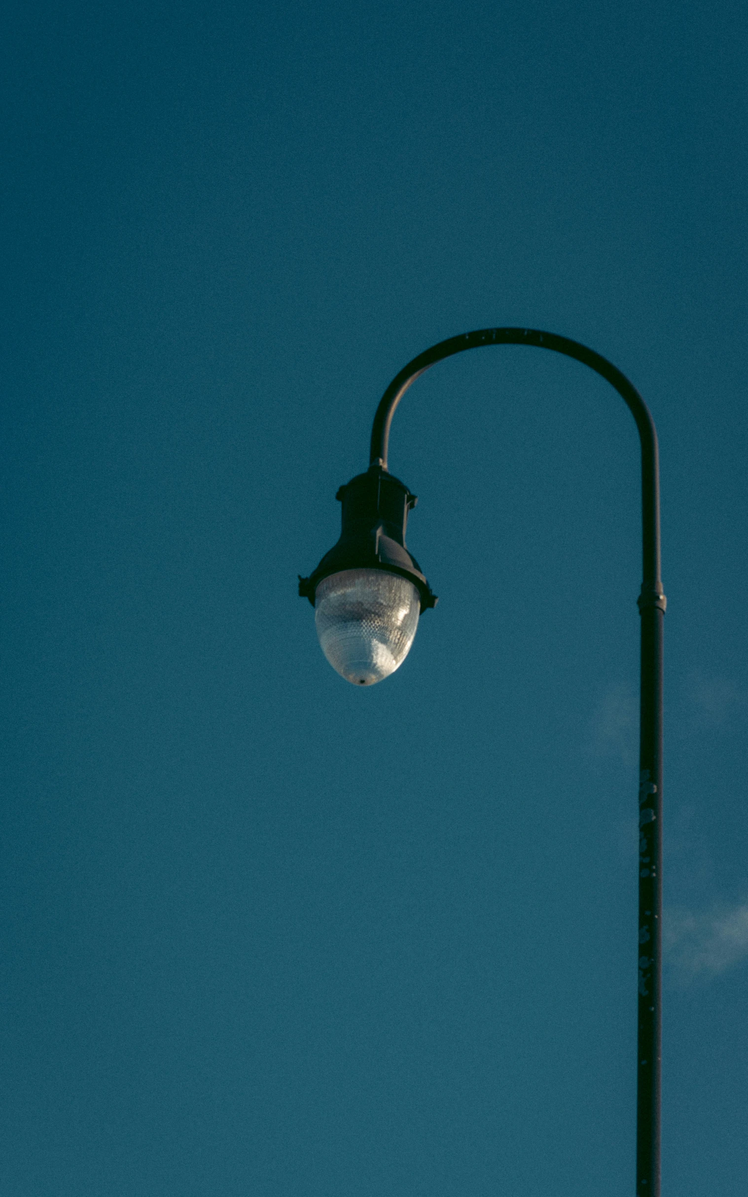 street light and bird on the top of it