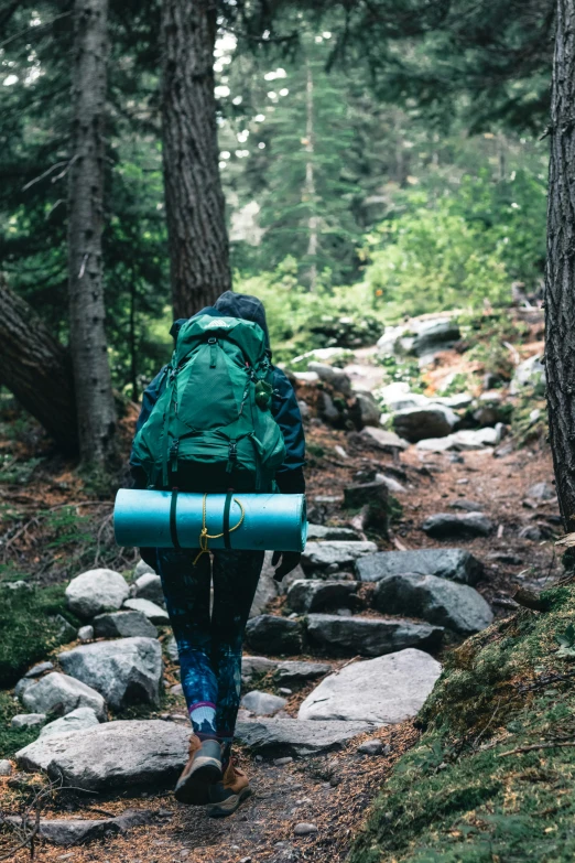 a man hiking along the trail in a wooded area