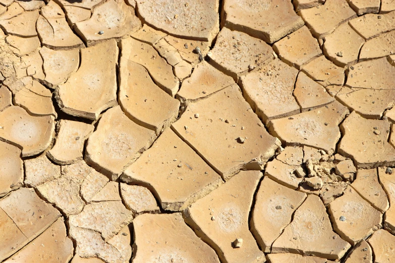 the ed dirt surface of a field of dried grass