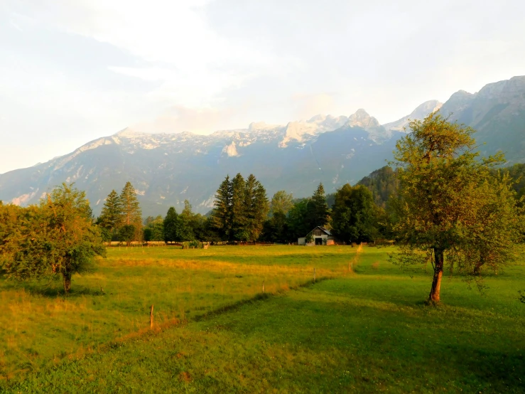 a grassy field is shown in front of a mountainous area