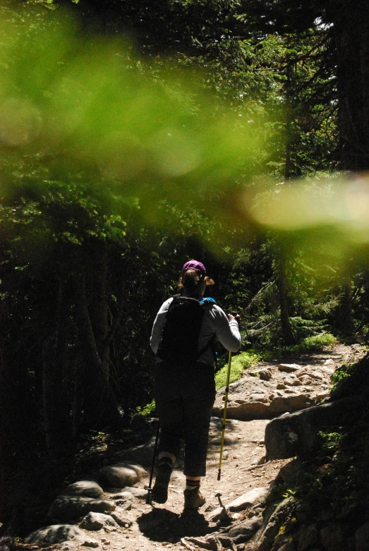 a hiker is going up a steep mountain trail