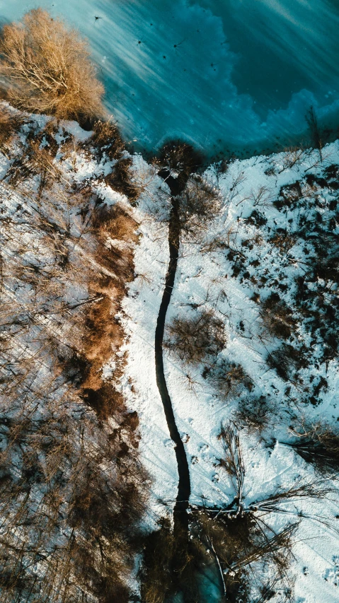 a bird - eye view of an icy field with trees in it