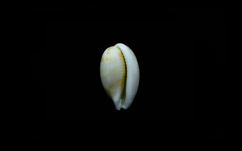 a large, peeled banana laying on the floor