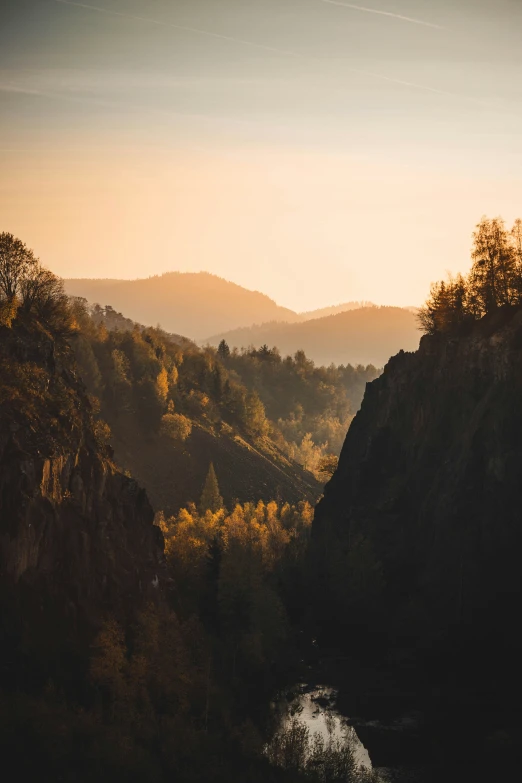 the view of trees from a high hill