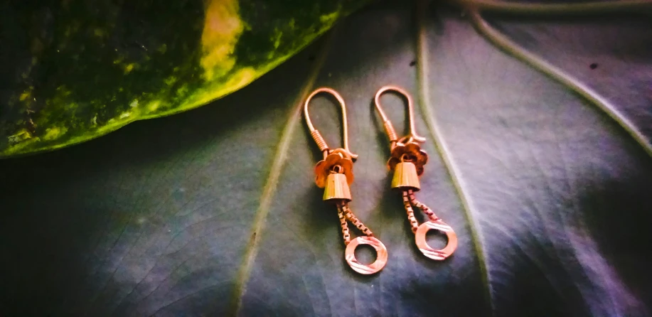 a pair of earrings are sitting on top of a green leaf