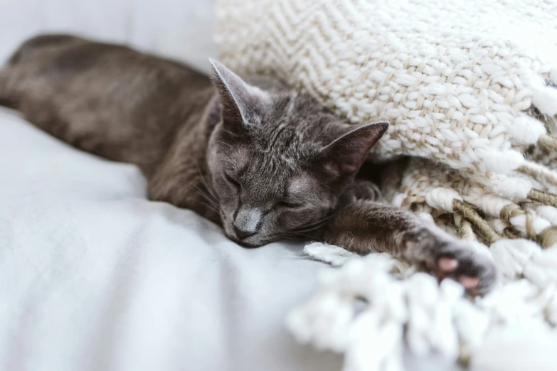 a cat sleeping on top of a white blanket