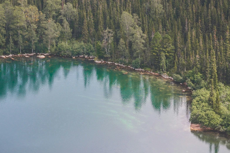 a pond is surrounded by trees and has large clear blue water