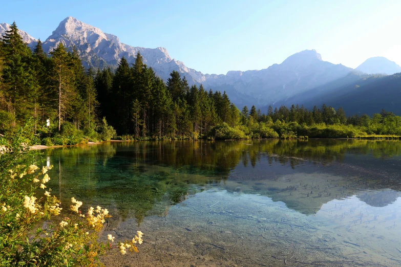 a view of trees, mountains and water in the foreground