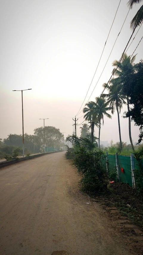 a dusty street with no traffic and lots of palm trees
