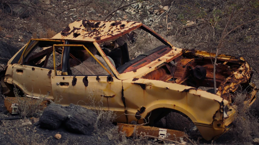 a burnt out car in the woods in the woods