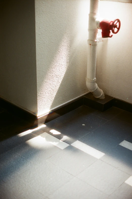 a red and white fire hydrant next to a wall