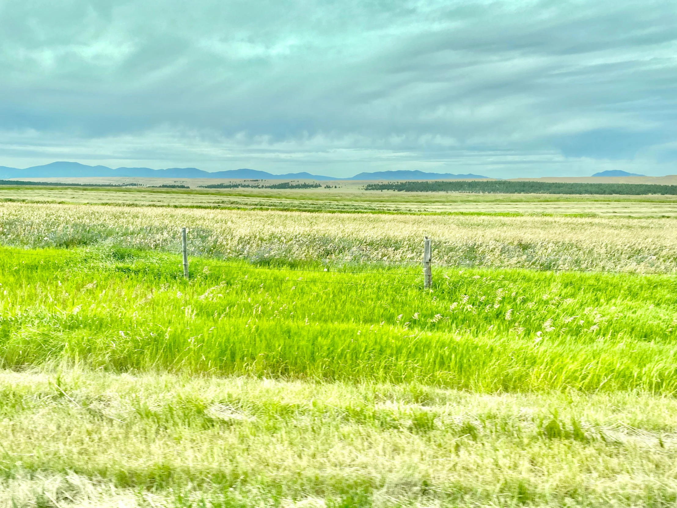 a field of grass that has a fence in the middle