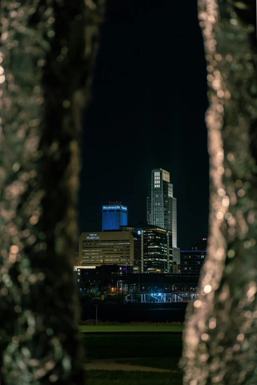 the city is lit up at night as seen through some trees