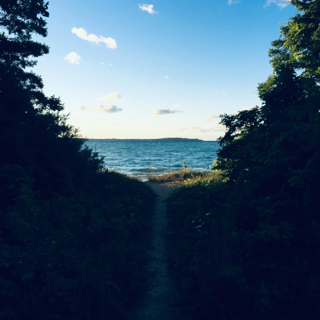 an alley leading to the beach and the ocean