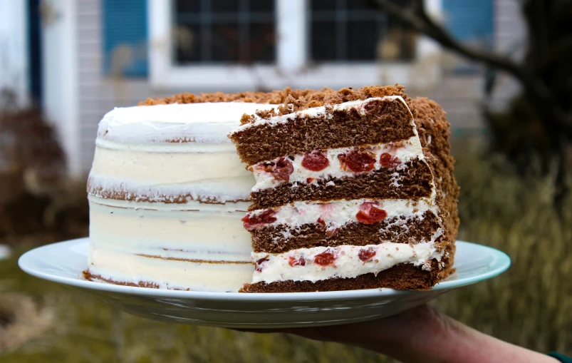 an individual holds a white layered cake
